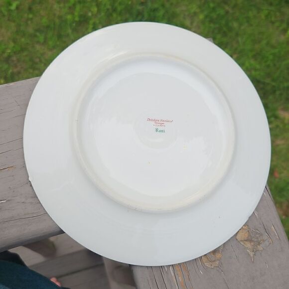 Theodore Haviland Limoges Rani salad plate - Picture 3 of 4